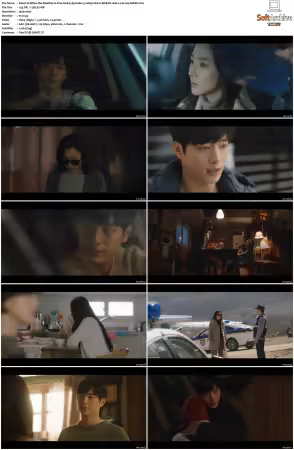 When the Weather Is Fine S01 1080p HULU WEB-DL AAC2.0 H264-MARK