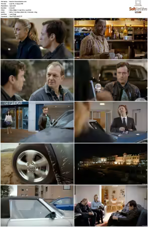 Vexed S01S02 1080p WEB x264-NGP