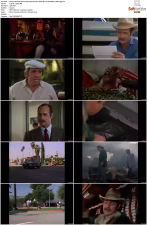Simon and Simon S01 S08 1080p Blu-ray 10Bit DDP2.0 HEVC-d3g