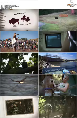 United States of Animals S01 1080p DSNP WEB-DL DDP5.1 H264-Sloth