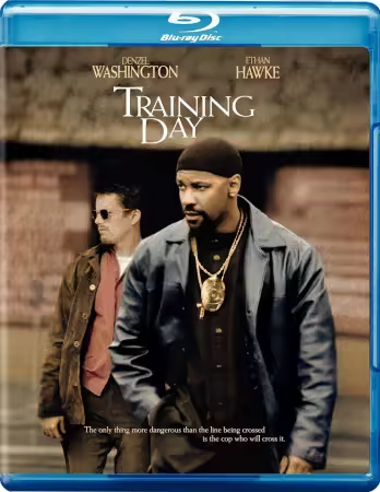 Training Day 2001 1080p BluRay x265 10bit AC3-SSDSSE