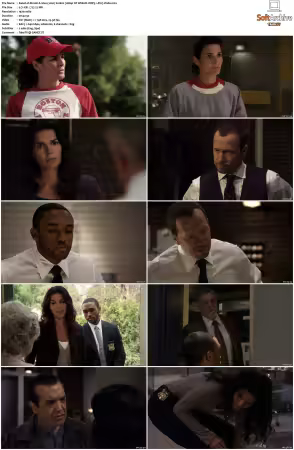 Rizzoli and Isles 2010 S01-S07 1080p NF WEB-DL DDP5.1 AV1-Vialle