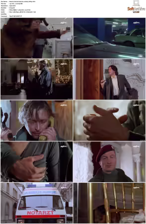 Kommissar Rex S01 S10 German 1080p HDTV x264-OMGtv