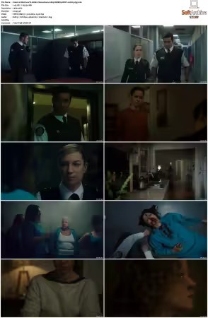 Wentworth S01-S09 1080p WEB h265-d3g