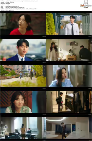 My Dearest Nemesis S01 1080p VIKI WEB-DL AAC2.0 H264-SiGLA
