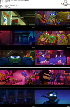 Tales of the Teenage Mutant Ninja Turtles S02 720p x264-AMBER