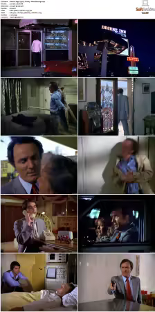 Vegas 1978 S01 S03 480p DVDRip HEVC AAC 2 0 DreadParrot