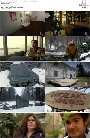 Weird Or What S01 S03 1080p WEB-DL DDP5.1 H264-squalor