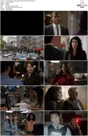 Rizzoli and Isles 2010 S01-S07 1080p NF WEB-DL DDP5.1 AV1-Vialle
