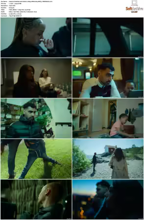 Snabba Cash S01 S02 1080p WEB H264 DDP5.1-DERMAGiC