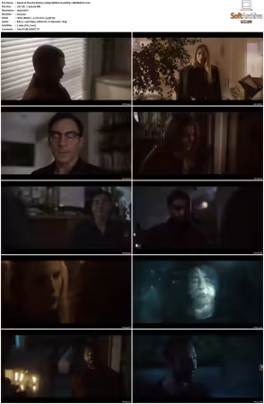 The OA S01 S02 1080p WEB H264 DDP5.1-DERMAGiC