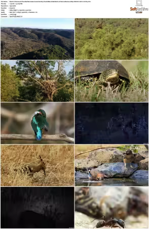 Stories of The Mediterranean Forest S01 1080p Web-DL AAC2.0 H264-