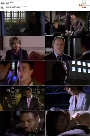 Waking The Dead S01 S09 DVDRip XviD-Mixed