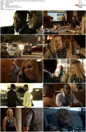 House of Lies S01 S05 WEBRip 1080p DD5.1 H265-d3g
