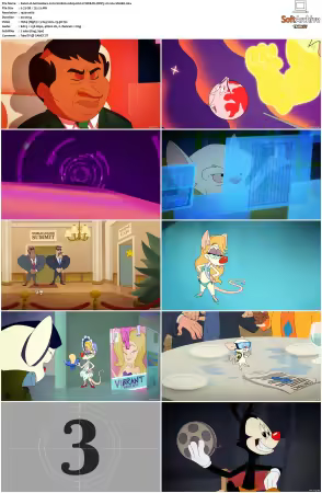 Animaniacs 2020 S01 S03 1080p HULU WEB-DL DDP5 1 H264-SNAKE