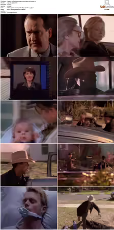 Walker Texas Ranger S01-S09 DVDRip XviD-Mixed
