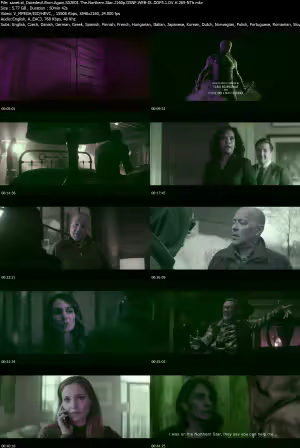 Daredevil Born Again S02E01 The Northern Star 2160p DSNP WEB-DL DDP5 1 DV H 265-NTb
