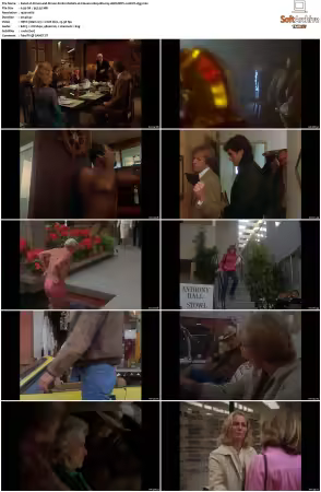 Simon and Simon S01-S08 1080p Blu-ray 10Bit DDP2.0 HEVC-d3g