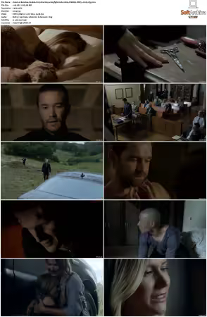 Banshee S01 S04 1080p WEBRip DDP5.1 H265-d3g