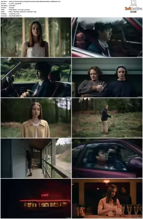 The End of the Fing World S01 S02 1080p WEB H264 DDP5.1-DERMAGiC