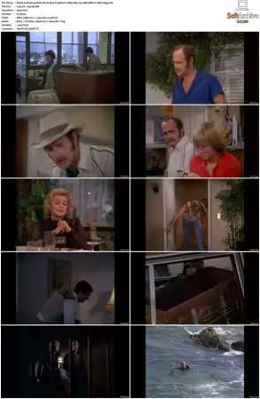 Simon and Simon S01-S08 1080p Blu-ray 10Bit DDP2.0 HEVC-d3g