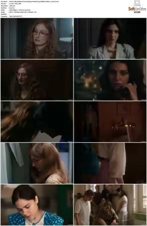 My Brilliant Friend S01 S04 ITALIAN MAX 720p WEB-DL DDP5.1 x264-iYi