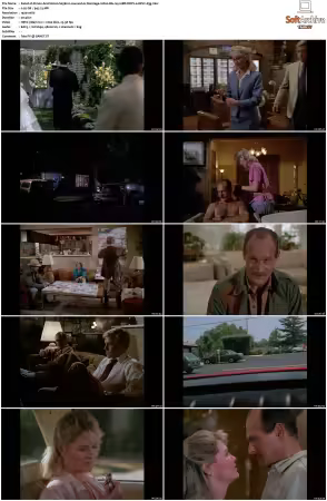 Simon and Simon S01-S08 1080p Blu-ray 10Bit DDP2.0 HEVC-d3g