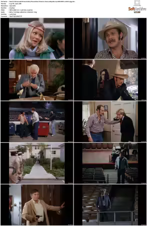 Simon and Simon S01-S08 1080p Blu-ray 10Bit DDP2.0 HEVC-d3g