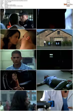 Prison Break S01 S05 German AC3 DL 1080p BDRip x265-FuN