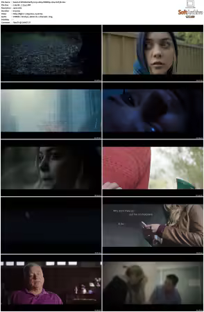 Wild Butterfly 2019 1080p WEBRip x264-SUP3R