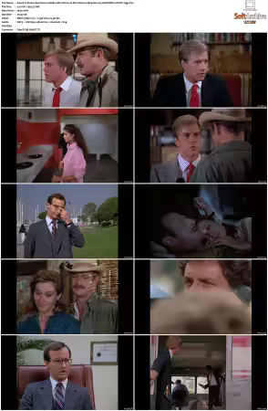 Simon and Simon S01-S08 1080p Blu-ray 10Bit DDP2.0 HEVC-d3g