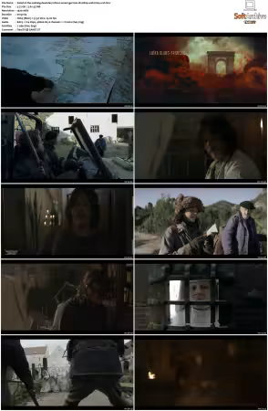 The Walking Dead Daryl Dixon S01 German DL 1080p WEB x264-WvF