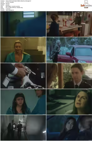 Wentworth S01-S09 1080p WEB h265-d3g