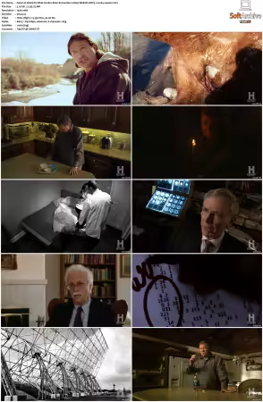Weird Or What S01 S03 1080p WEB-DL DDP5.1 H264-squalor