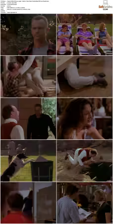Weird Science 1994 S01-S05 480p DVD x265 HEVC 10bit AAC 2.0 Panda