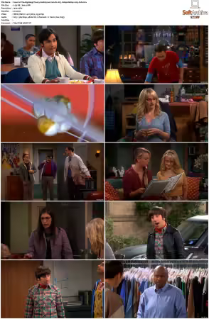 The Big Bang Theory S01-S12 German DL AC3 1080p BluRay x265-FuN
