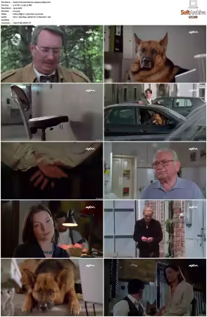 Kommissar Rex S01-S10 German 1080p HDTV x264-OMGtv