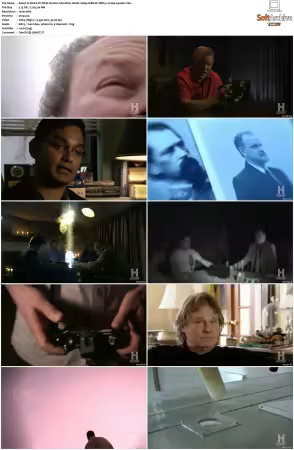 Weird Or What S01 S03 1080p WEB-DL DDP5.1 H264-squalor