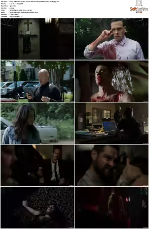Banshee S01 S04 1080p WEBRip DDP5.1 H265-d3g