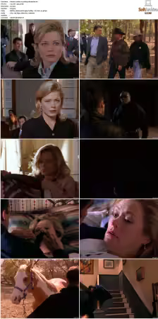 Walker Texas Ranger S01 S09 DVDRip XviD-Mixed