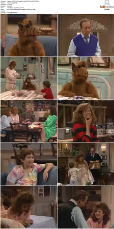 Alf S02 German DL 1080p HDTV x264-TVNATiON