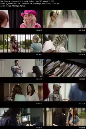 Unplanned 2019 1080p BluRay x264-OFT