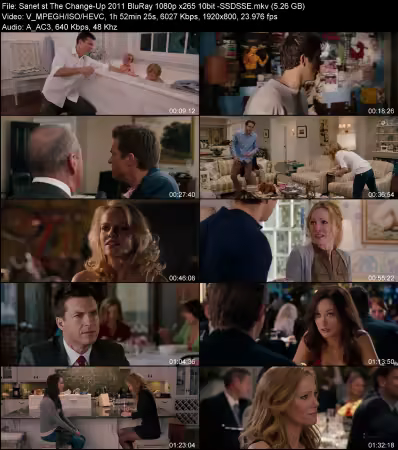The Change-Up 2011 BluRay 1080p x265 10bit -SSDSSE