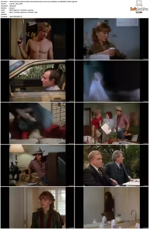 Simon and Simon S01 S08 1080p Blu-ray 10Bit DDP2.0 HEVC-d3g