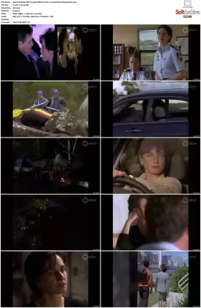 Water Rats S01-S06 WEB-DL AAC2.0 H264-BTN