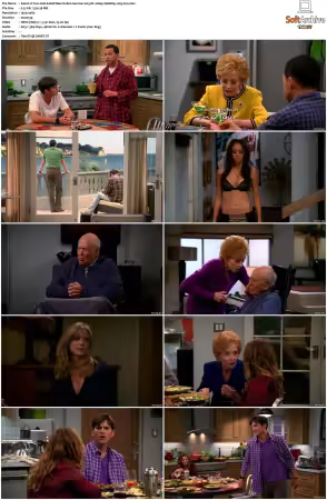 Two And A Half Men S01-S12 German AC3 DL 1080p WebRip x265-Fun