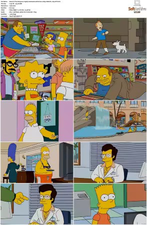 The Simpsons S19 1080p Web-DL x264-OFT
