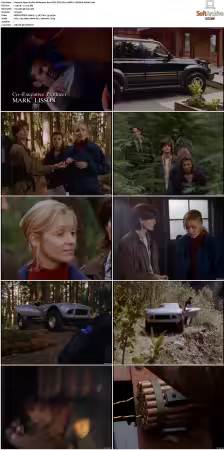 Viper 1994 S01-S04 NTSC DVD REMUX-SCENE