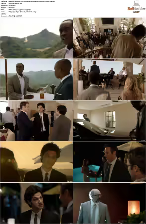 House of Lies S01 S05 WEBRip 1080p DD5.1 H265-d3g