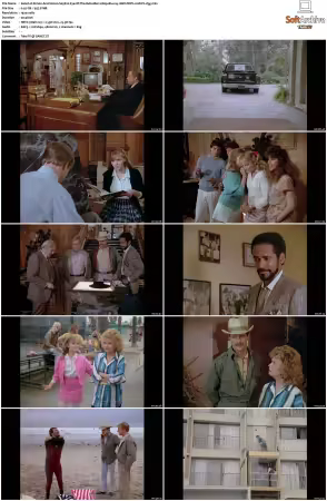 Simon and Simon S01-S08 1080p Blu-ray 10Bit DDP2.0 HEVC-d3g